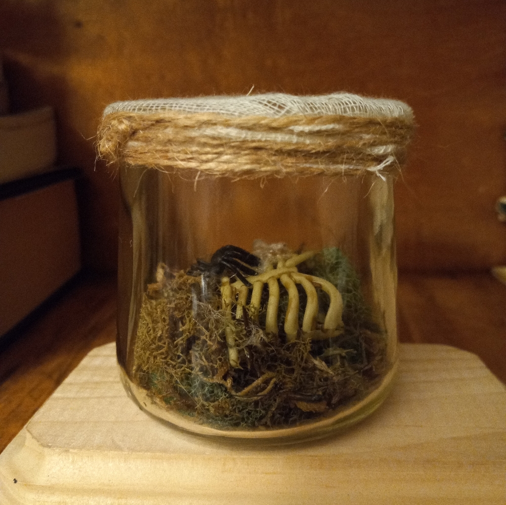 Skeletal specimen jars, set of 3, handmade - Picture 3 of 16